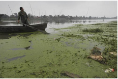 ���պϷʵġ�ĸ�H�ӡ����Ǻӱ���Ⱦ��(y��n)�أ��D��