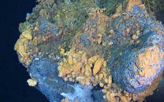 ����Ԕ��(x��)��Bʲô������