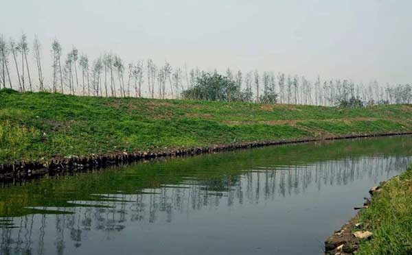 鎮(zhèn)江水污染 鎮(zhèn)江水污染