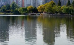 一種新型湖水凈化技術(shù) 一種新型湖水凈化技術(shù)