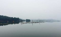 �潭ˮ��Ⱦ�F(xi��n)��潭ˮ��Ⱦ��Ƭ