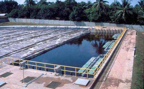 �����B©Һ