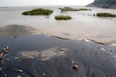 ����������h(yu��n)���������B͸Һ̎����ˇ�{�S����