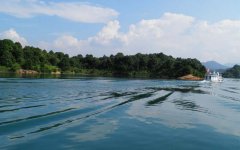 “綠色萬(wàn)綠湖、尋源農(nóng)夫山泉”讓久居都市的市民感受優(yōu)質(zhì)水源的魅 “綠色萬(wàn)綠湖、尋源農(nóng)夫山泉”讓久居都市的市民感受優(yōu)質(zhì)水源的魅