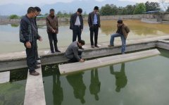 �h(hu��n)������Y��Ͷ��޴�h(hu��n)�����}�q��