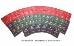 國內(nèi)水處理技術(shù)缺乏具有獨立知識產(chǎn)權(quán)的產(chǎn)品 國內(nèi)水處理技術(shù)缺乏具有獨立知識產(chǎn)權(quán)的產(chǎn)品