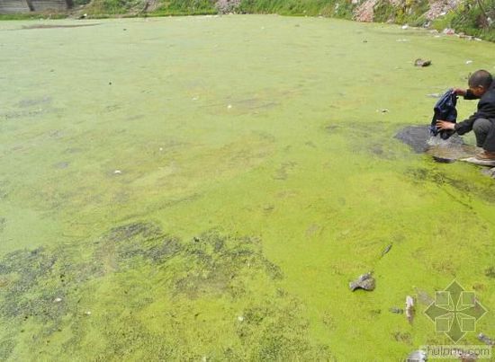 中國(guó)水污染問(wèn)題很嚴(yán)重 帶您簡(jiǎn)單看幾個(gè)案例 中國(guó)水污染問(wèn)題很嚴(yán)重 帶您簡(jiǎn)單看幾個(gè)案例