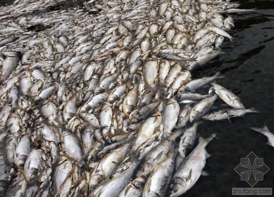 中國(guó)水污染問(wèn)題很嚴(yán)重 帶您簡(jiǎn)單看幾個(gè)案例 中國(guó)水污染問(wèn)題很嚴(yán)重 帶您簡(jiǎn)單看幾個(gè)案例