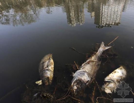 中國(guó)水污染問(wèn)題很嚴(yán)重 帶您簡(jiǎn)單看幾個(gè)案例 中國(guó)水污染問(wèn)題很嚴(yán)重 帶您簡(jiǎn)單看幾個(gè)案例