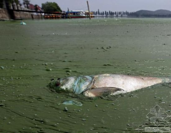 中國(guó)水污染問(wèn)題很嚴(yán)重 帶您簡(jiǎn)單看幾個(gè)案例 中國(guó)水污染問(wèn)題很嚴(yán)重 帶您簡(jiǎn)單看幾個(gè)案例