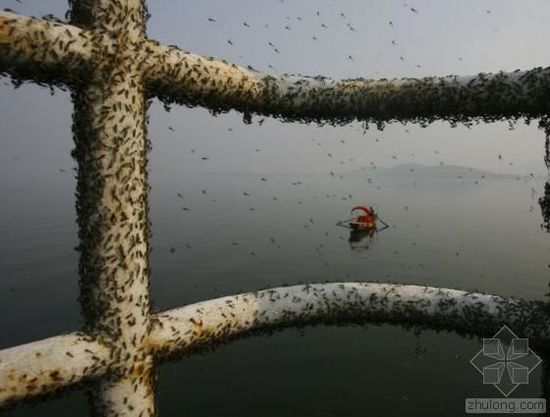 中國(guó)水污染問(wèn)題很嚴(yán)重 帶您簡(jiǎn)單看幾個(gè)案例 中國(guó)水污染問(wèn)題很嚴(yán)重 帶您簡(jiǎn)單看幾個(gè)案例