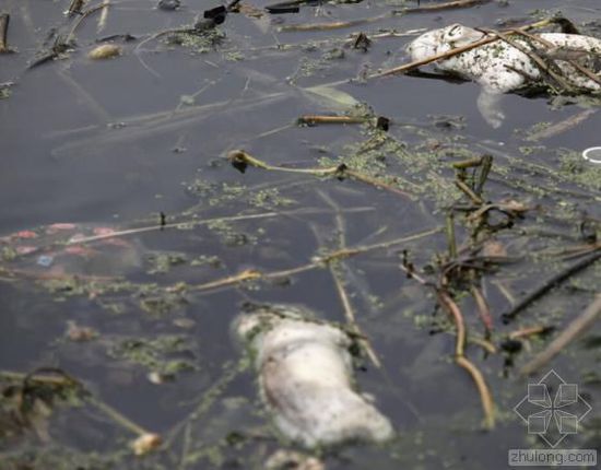 中國(guó)水污染問(wèn)題很嚴(yán)重 帶您簡(jiǎn)單看幾個(gè)案例 中國(guó)水污染問(wèn)題很嚴(yán)重 帶您簡(jiǎn)單看幾個(gè)案例