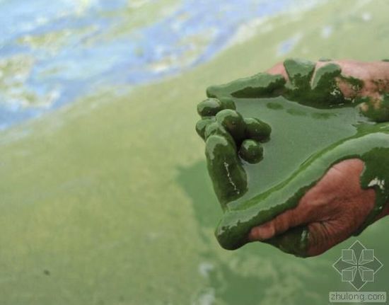 中國(guó)水污染問(wèn)題很嚴(yán)重 帶您簡(jiǎn)單看幾個(gè)案例 中國(guó)水污染問(wèn)題很嚴(yán)重 帶您簡(jiǎn)單看幾個(gè)案例