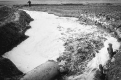 2014年黃河河段:一半以上嚴(yán)重污染(圖文) 2014年黃河河段:一半以上嚴(yán)重污染(圖文)