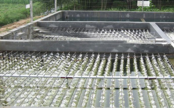 ���׏Uˮ̎�������O��aƷ��(y��u)��